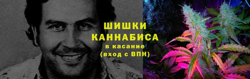 Каннабис Bruce Banner  купить закладку  Кыштым 